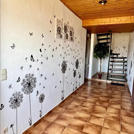 Haushaelfte Mit Jakuzzi In Frankenberg