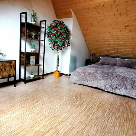 Holiday home Haushaelfte Mit Jakuzzi In Frankenberg *